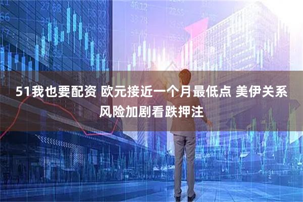 51我也要配资 欧元接近一个月最低点 美伊关系风险加剧看跌押注