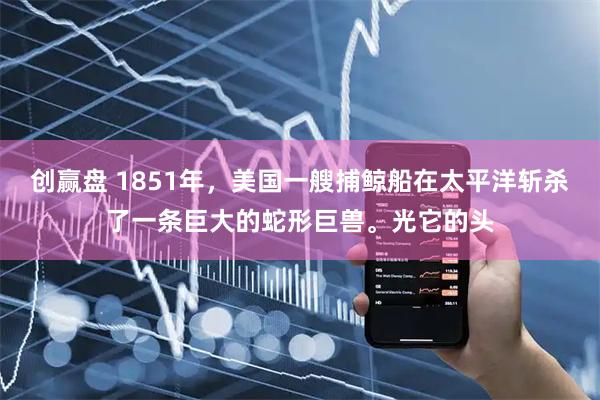 创赢盘 1851年，美国一艘捕鲸船在太平洋斩杀了一条巨大的蛇形巨兽。光它的头