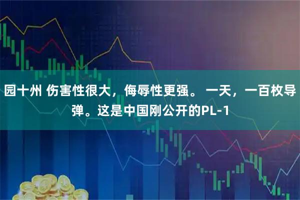 园十州 伤害性很大，侮辱性更强。 一天，一百枚导弹。这是中国刚公开的PL-1