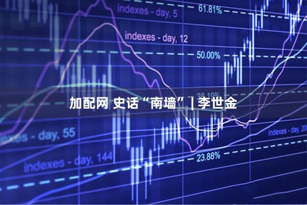 加配网 史话“南墙” | 李世金