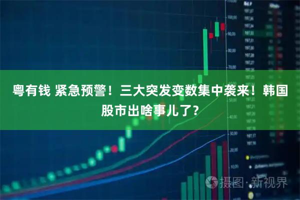 粤有钱 紧急预警！三大突发变数集中袭来！韩国股市出啥事儿了？