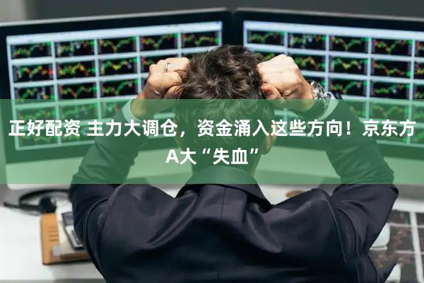 正好配资 主力大调仓，资金涌入这些方向！京东方A大“失血”