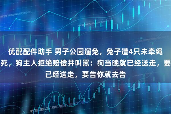 优配配件助手 男子公园遛兔，兔子遭4只未牵绳犬只围攻致死，狗主人拒绝赔偿并叫嚣：狗当晚就已经送走，要告你就去告