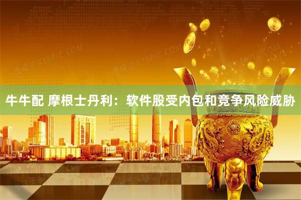 牛牛配 摩根士丹利：软件股受内包和竞争风险威胁