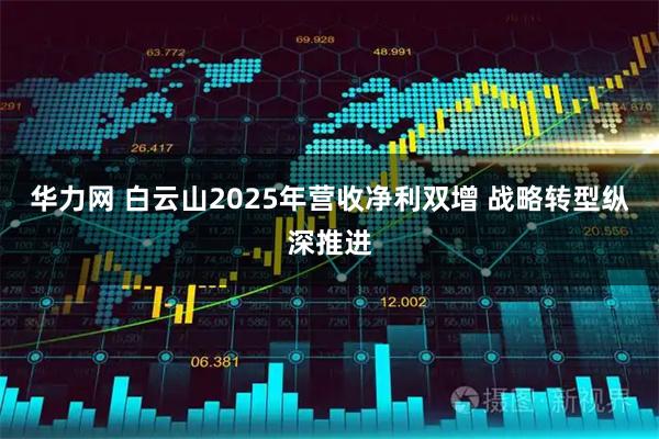 华力网 白云山2025年营收净利双增 战略转型纵深推进