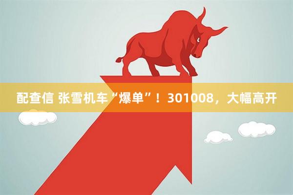 配查信 张雪机车“爆单”!301008,大幅高开
