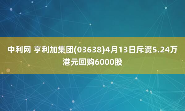 中利网 亨利加集团(03638)4月13日斥资5.24万港元回购6000股