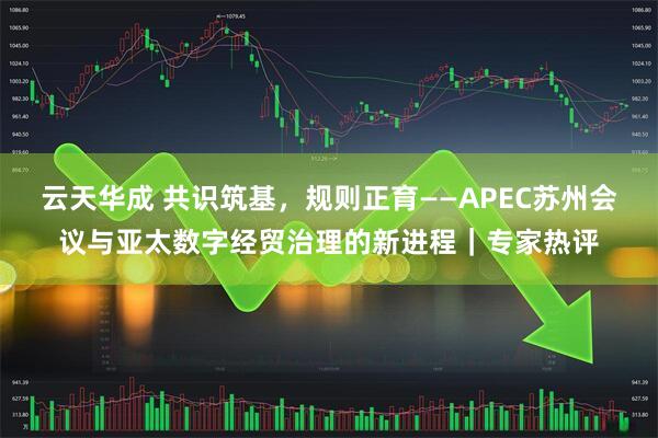 云天华成 共识筑基，规则正育——APEC苏州会议与亚太数字经贸治理的新进程｜专家热评